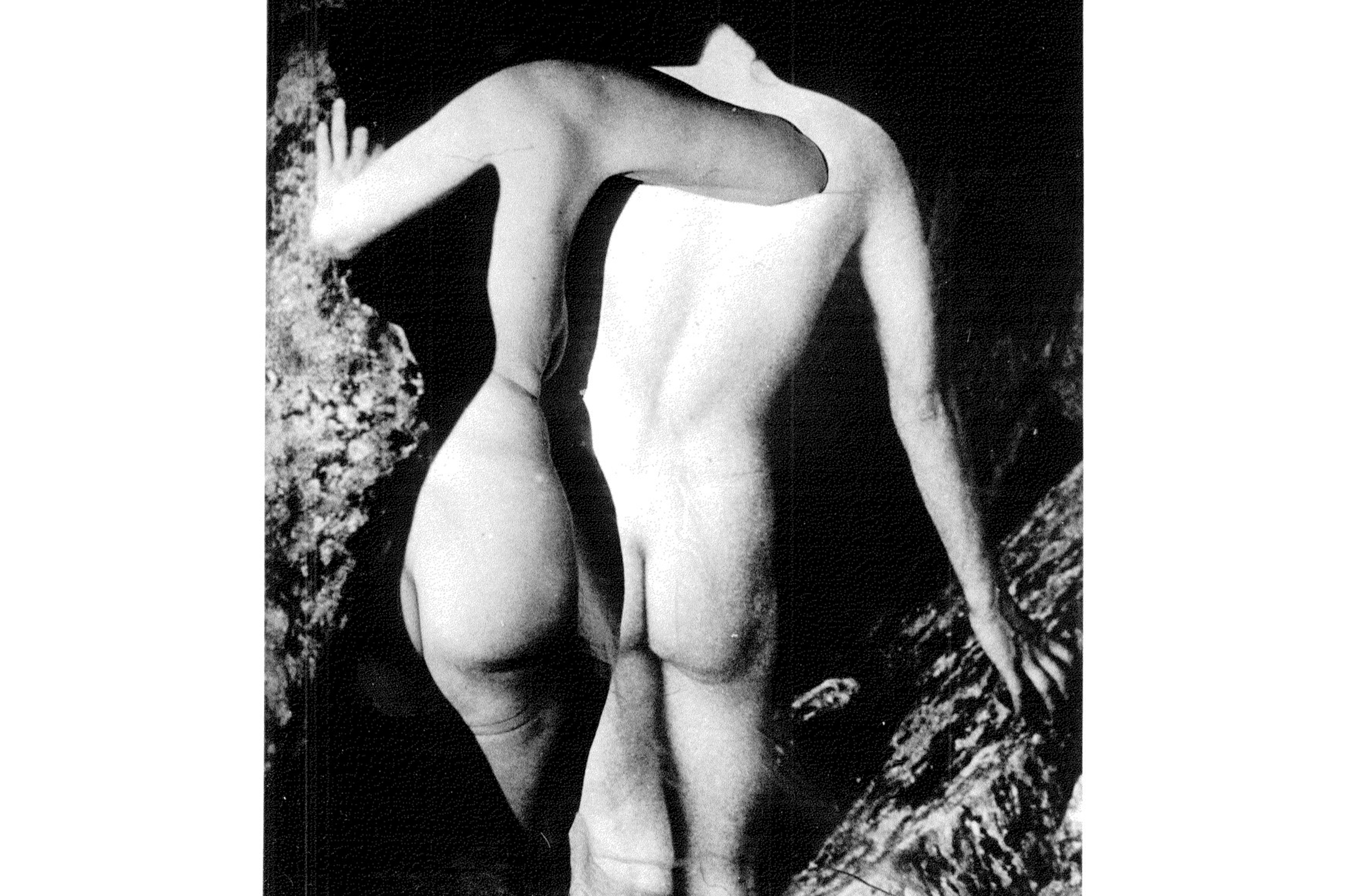 Erich Kees, Elisabeth Kraus
